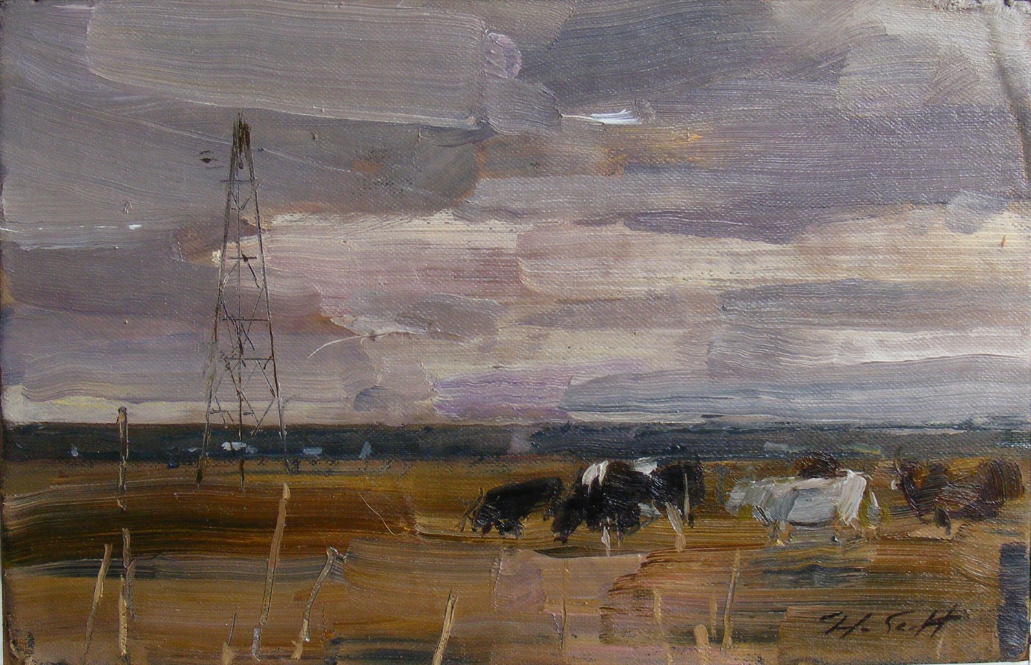 Cattle on High Marsh