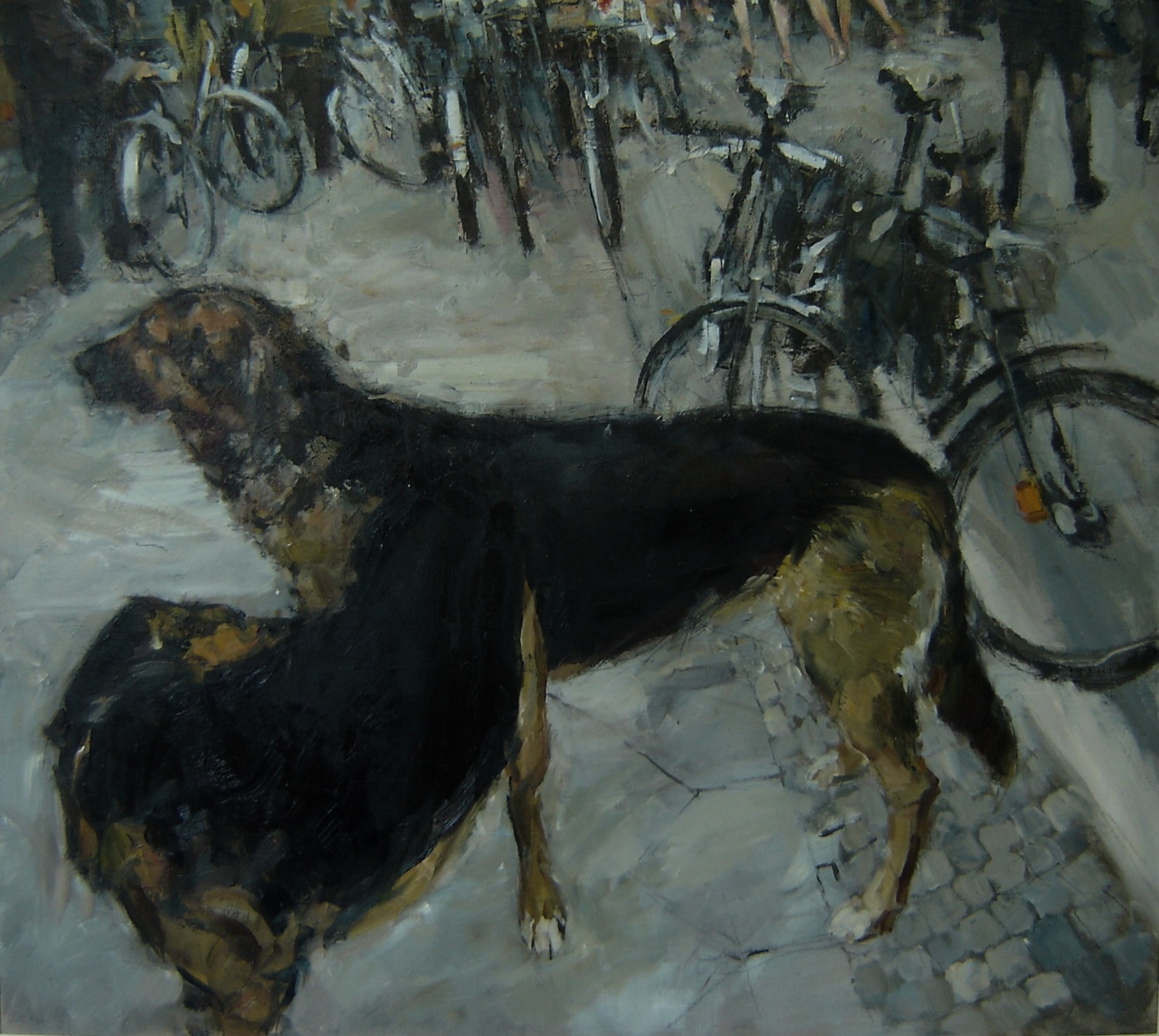 Dogs