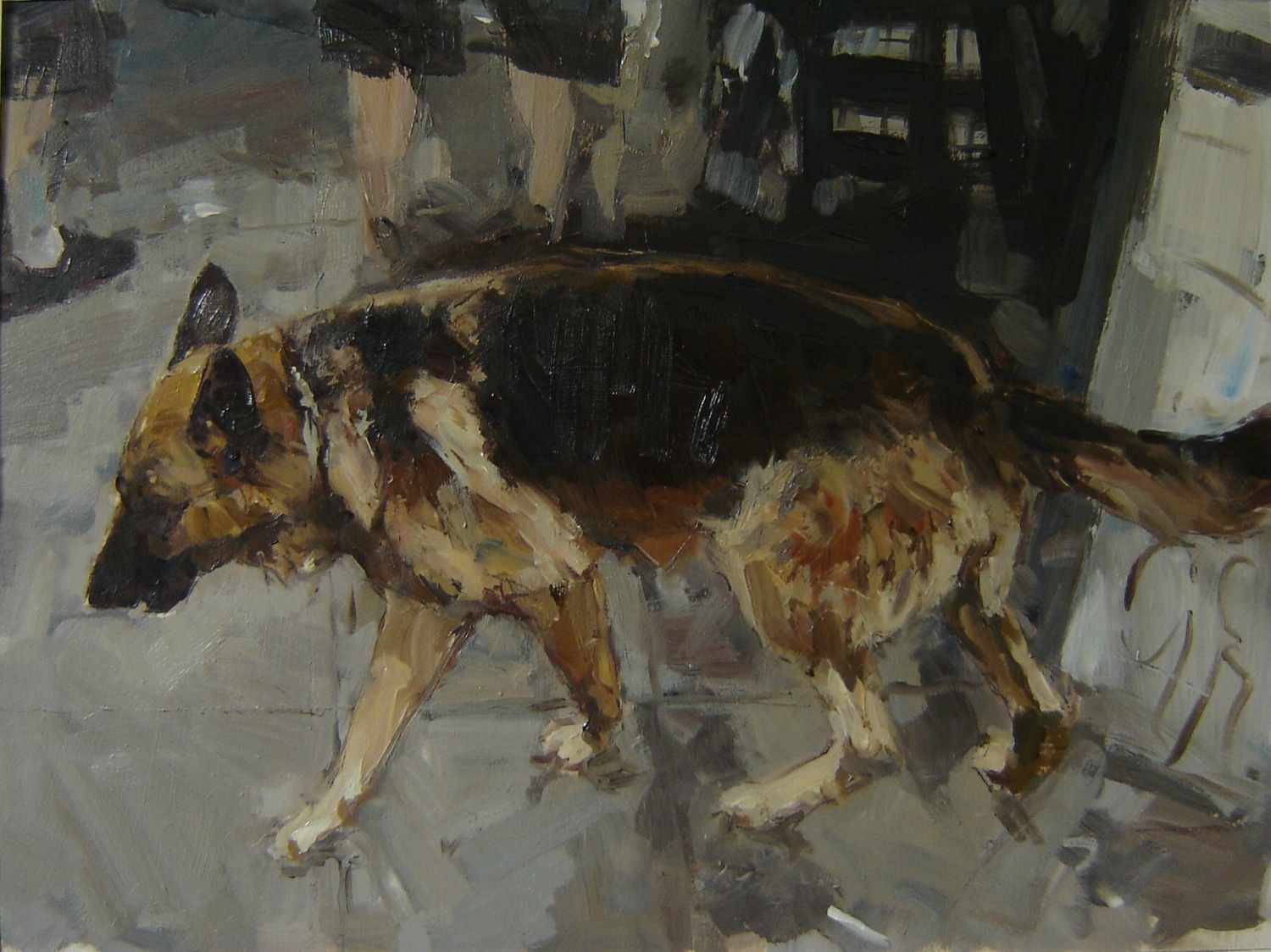 German Shepherd
