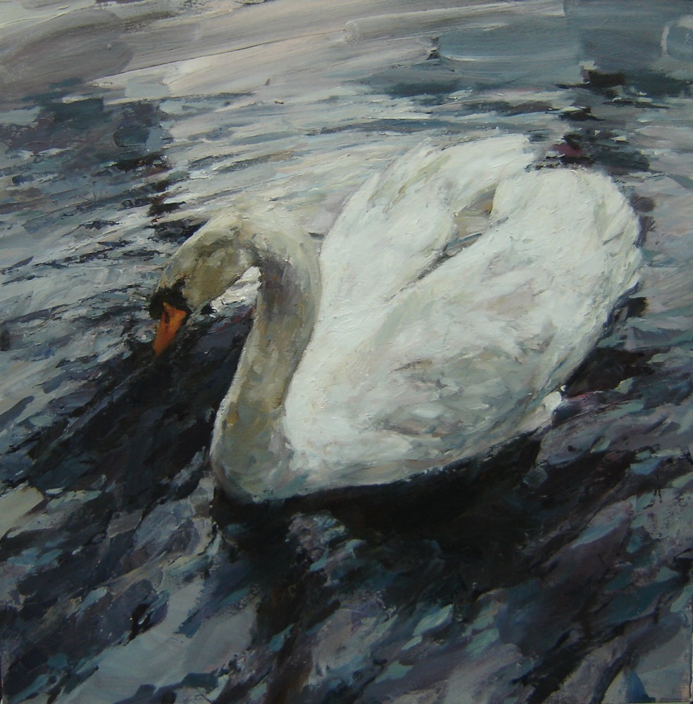 Large swan